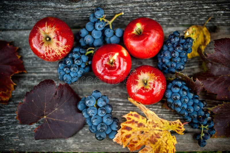 Autumn harvest at vineyard and farm with ripe grapes and red apples, fresh and organic fruits