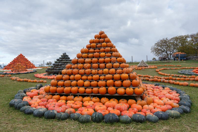 autumn-harvested-pumpkins-arranged-fun-like-pyramid-color-variations-halloween-holiday-concept-pumpkin-world-autumn-101447535.jpg