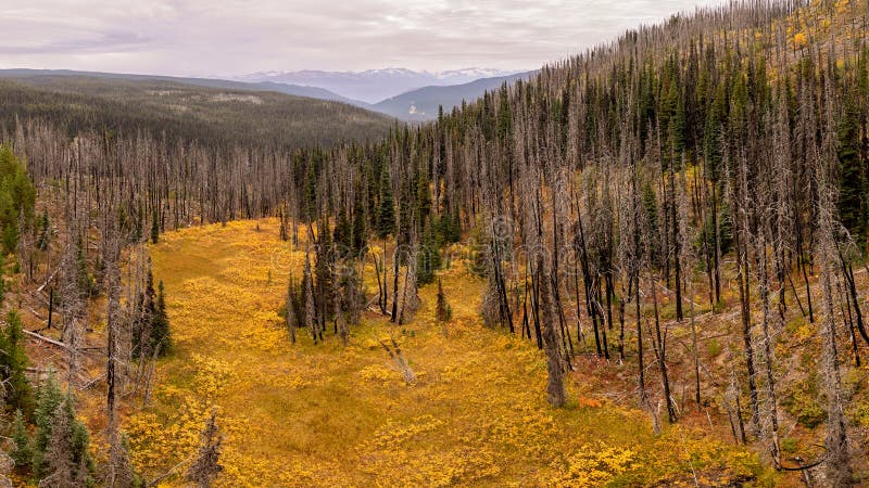 Fall foliage in Tweedsmuir South Provincial Park, British Columbia, Canada. Fall foliage in Tweedsmuir South Provincial Park, British Columbia, Canada