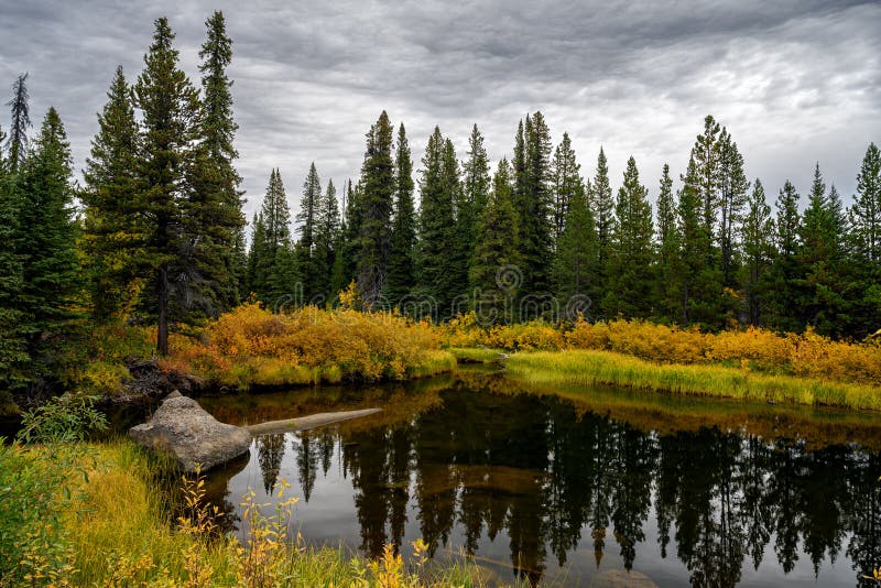 Fall foliage by the Green River in Tweedsmuir South Provincial Park, British Columbia, Canada. Fall foliage by the Green River in Tweedsmuir South Provincial Park, British Columbia, Canada