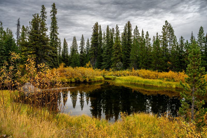 Fall foliage by the Green River in Tweedsmuir South Provincial Park, British Columbia, Canada. Fall foliage by the Green River in Tweedsmuir South Provincial Park, British Columbia, Canada