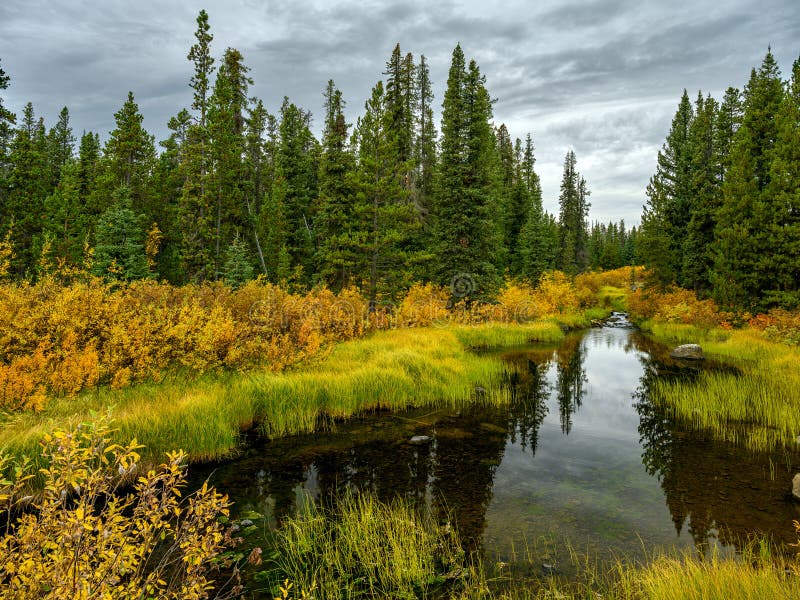 Fall foliage by the Green River in Tweedsmuir South Provincial Park, British Columbia, Canada. Fall foliage by the Green River in Tweedsmuir South Provincial Park, British Columbia, Canada