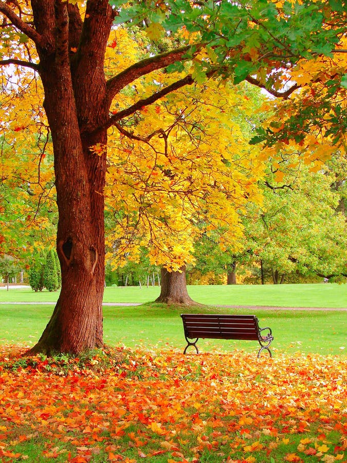 Autumn in Helsinki Garden