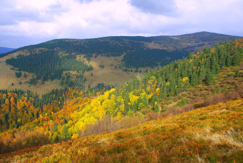 Autumn hillside.