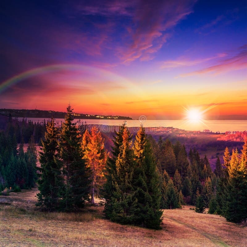 Autumn hillside with red and forest near the sea