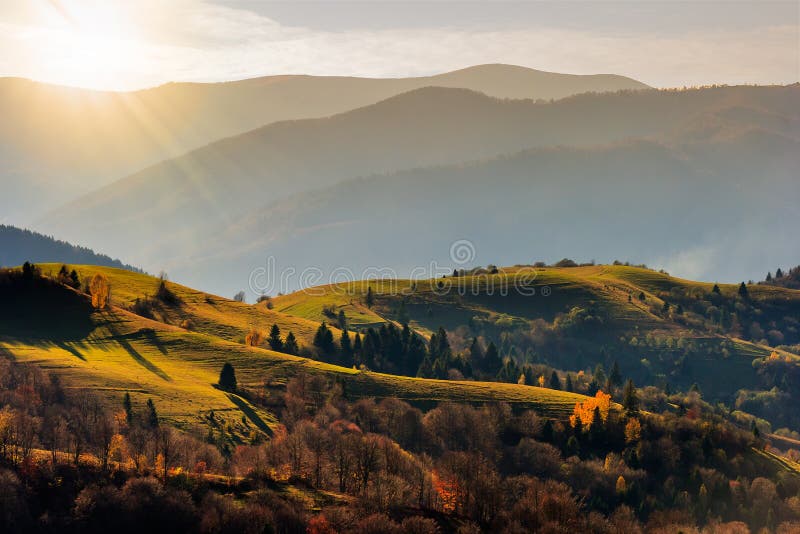 Autumn hillside with red and yellow forest