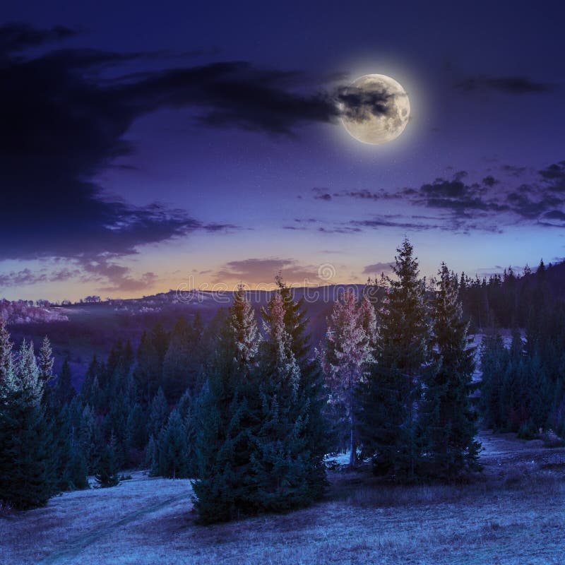 Autumn hillside with red and yellow forest at night