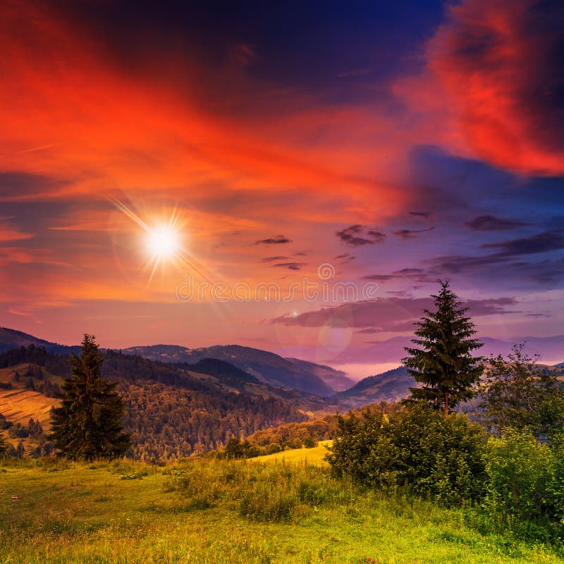 Autumn hillside with red and yellow forest at sunset