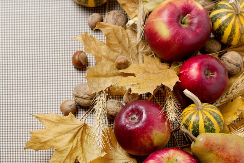 Autumn holiday Thanksgiving. Still life with pumpkin and apples,