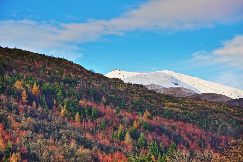 Autumn Hues på Arrowtown Nya Zeeland arkivfoto Autumn Hues på Arrowtown Nya Zeeland arkivfoto