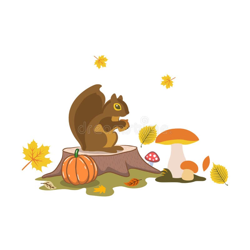 squirrel in forest artoon squirrel in forest artoon