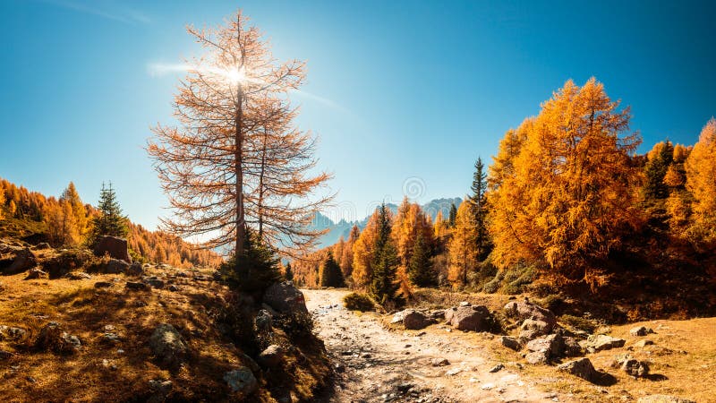 Autumn trekking in the alpine Pusteria valley