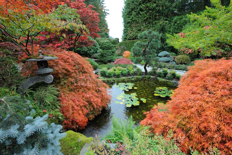 Main Garden of Adachi Museum of Art during Autumn Stock Photo