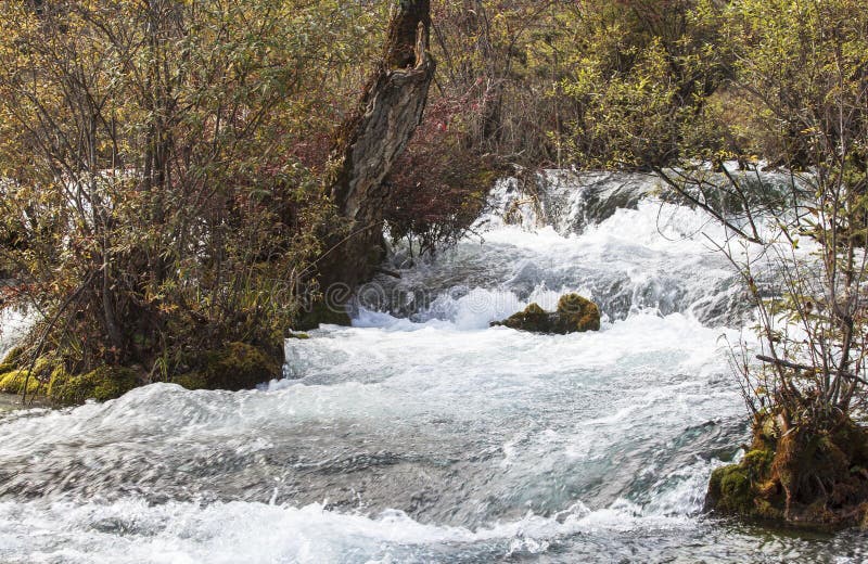 475 Yellow Waterfalls China Photos Free And Royalty Free Stock Photos