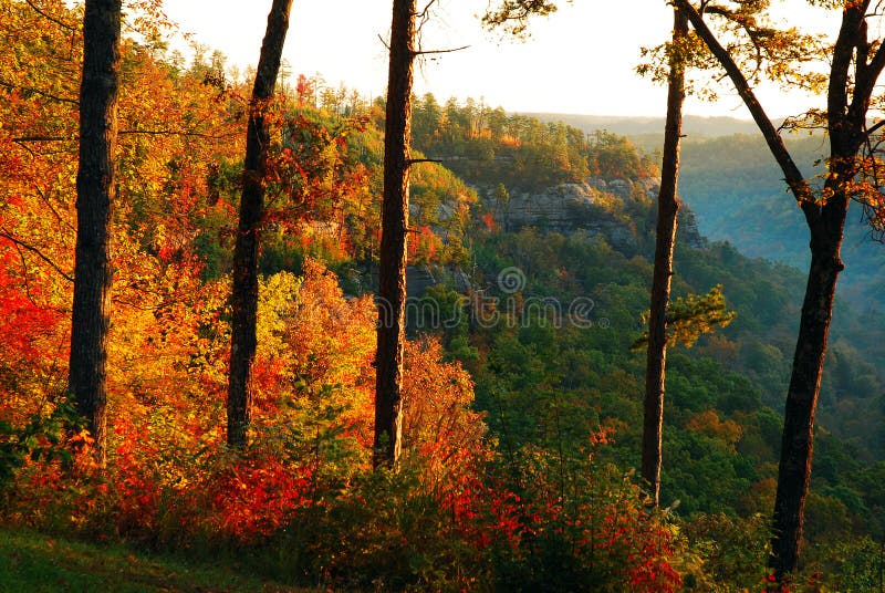 Autumn in Kentucky's Red River Gorge royalty free stock photo
