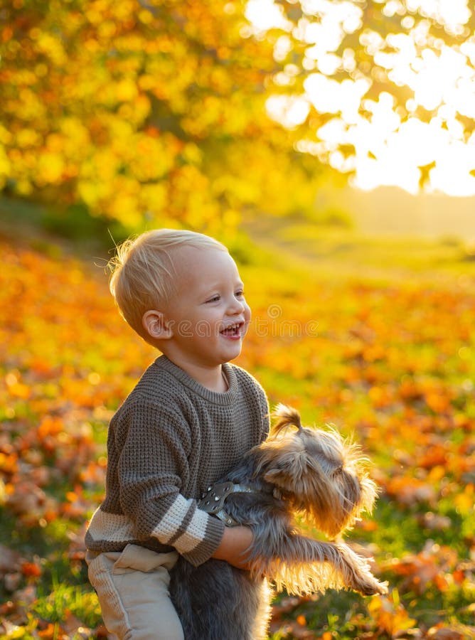 Autumn Kids Niño hermoso que juega con su terrier de Yorkshire en parque Disfrute del otoño con su amigo Real imágenes de archivo libres de regalías Autumn Kids Niño hermoso que juega con su terrier de Yorkshire en parque Disfrute del otoño con su amigo Real imágenes de archivo libres de regalías