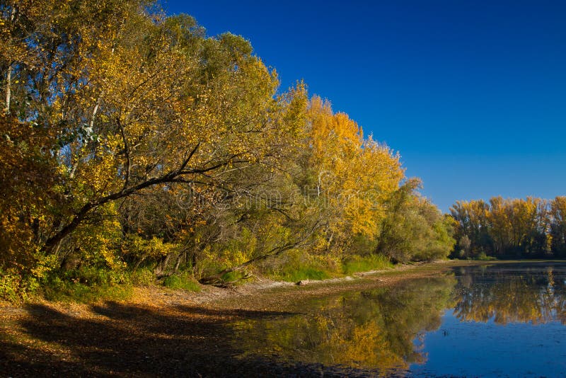 Autumn lake