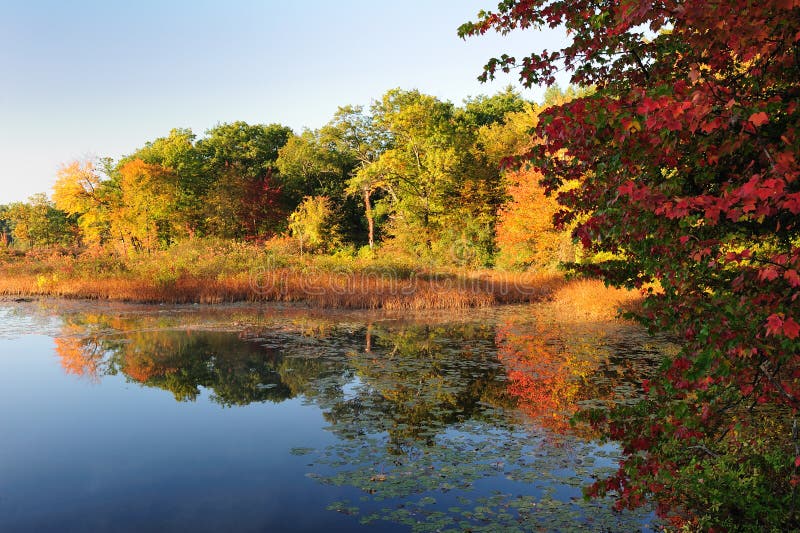 Autumn lake at a sunrise