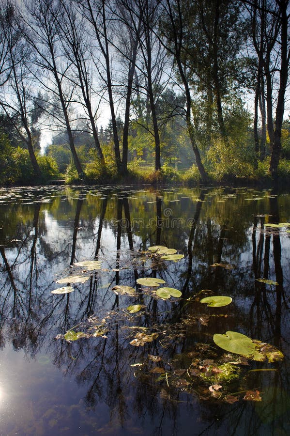 Autumn lake landscape