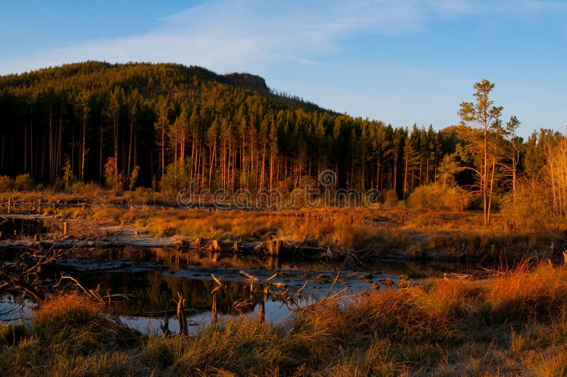 Autumn landscape