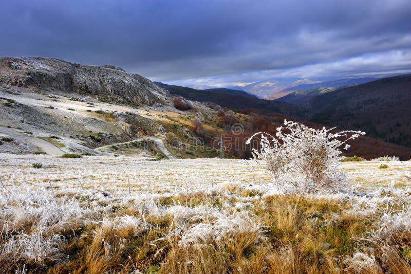 Autumn landscape