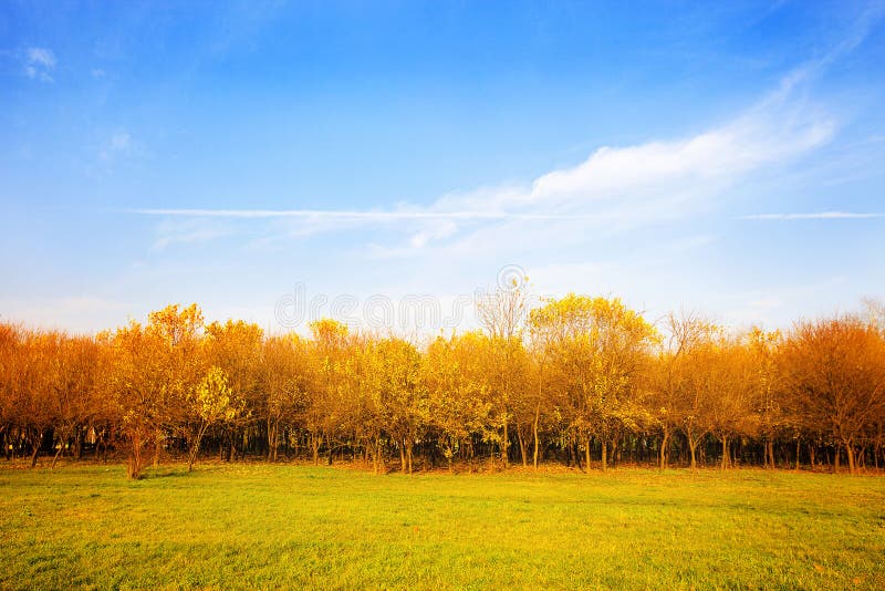 Autumn landscape