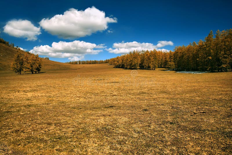 Autumn landscape