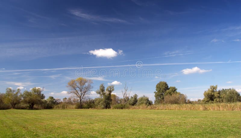 Autumn landscape