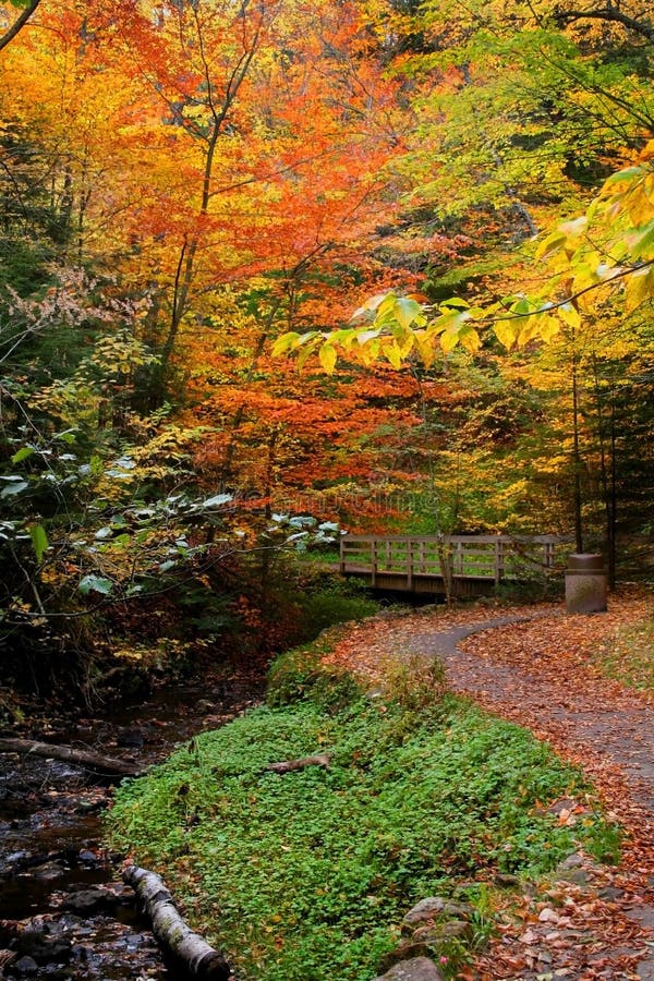 Autumn Landscape