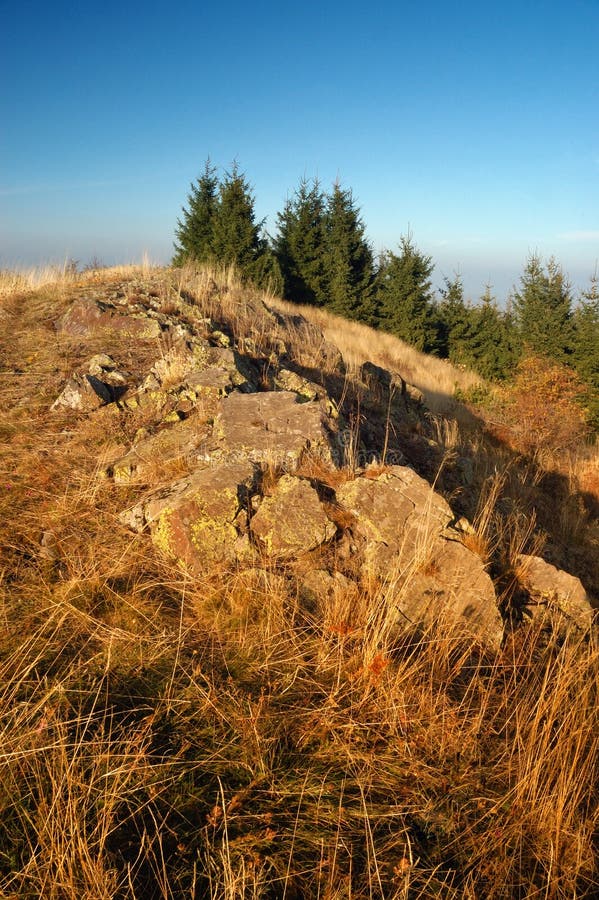 Autumn landscape