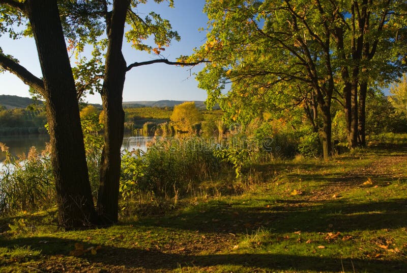 Autumn landscape