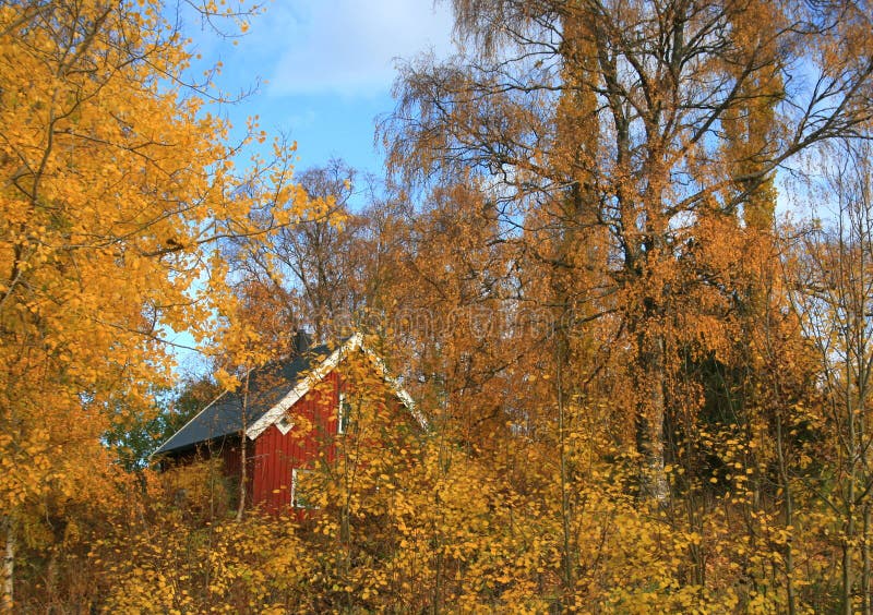 Autumn landscape