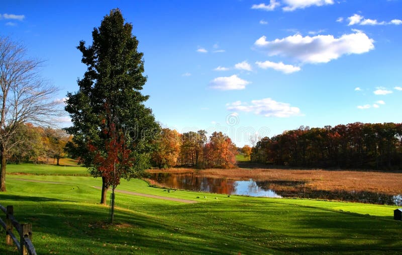 Autumn Landscape