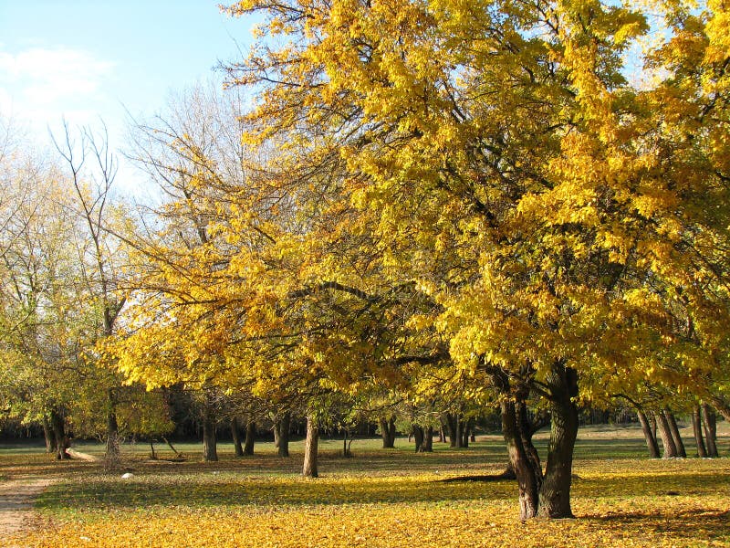 Autumn landscape