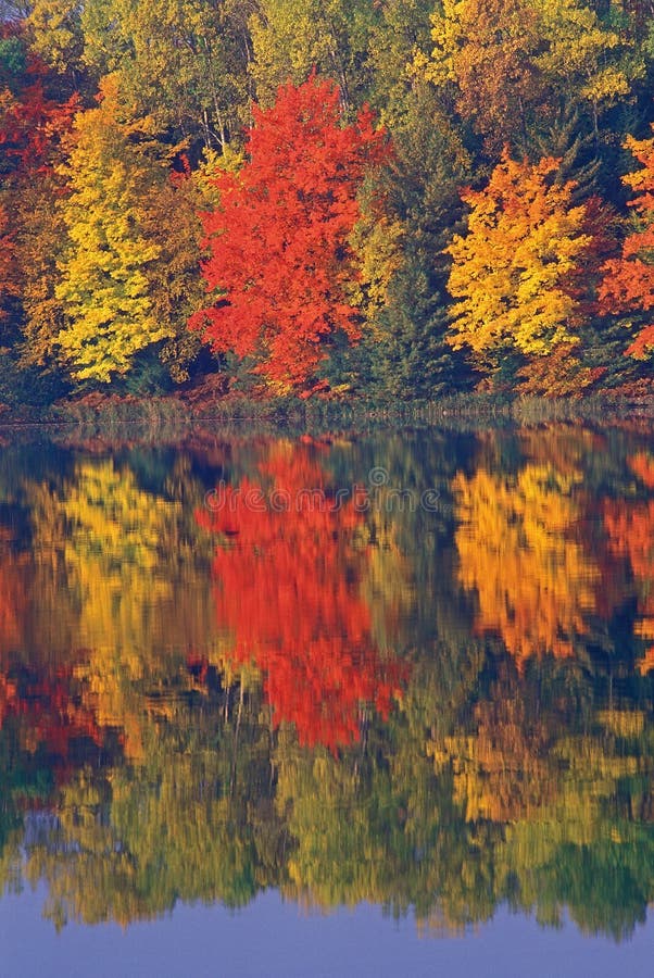 Autumn Landscape stock image