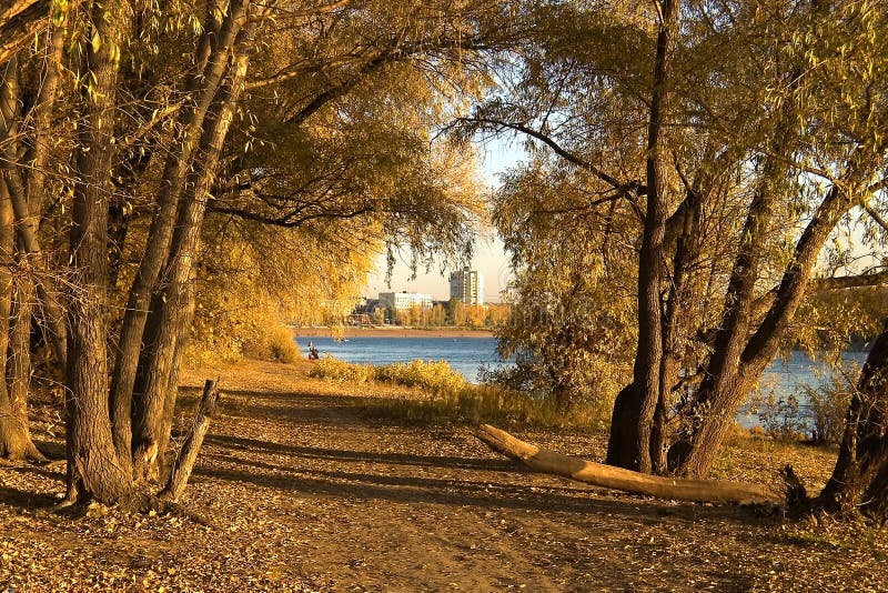 Autumn landscape.