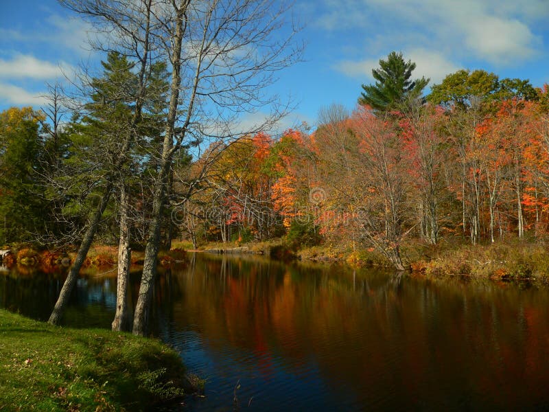 Autumn landscape V stock photo. Image of canada, travel - 840308