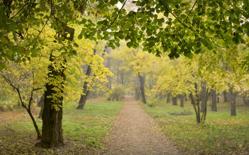 Autumn landscape