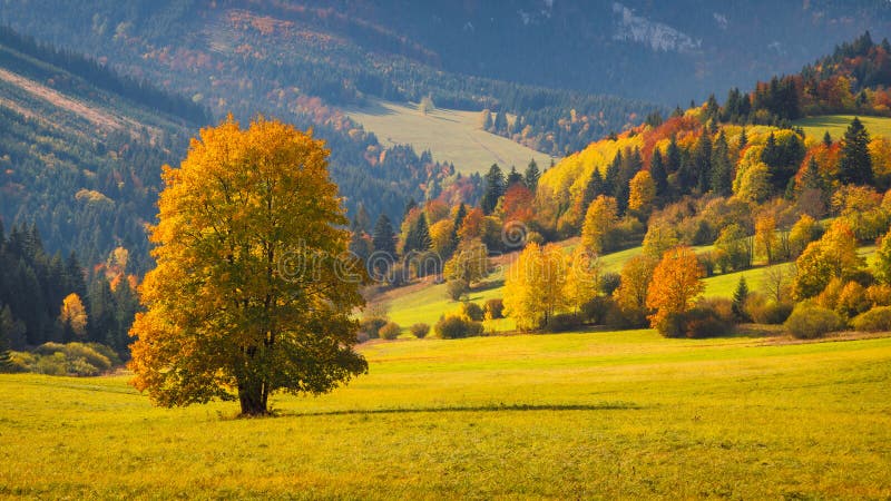 Autumn landscape with brightly colored trees and hills