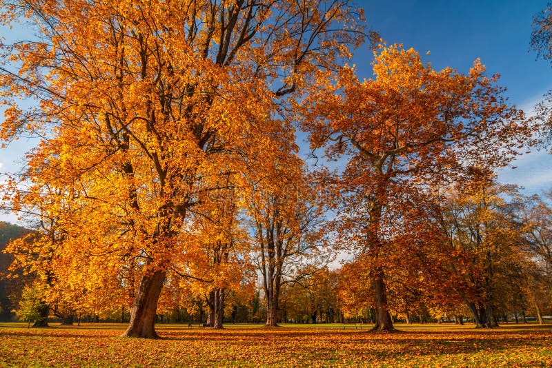 Autumn landscape, castle park Budatin nearby Zilina, Slovakia.