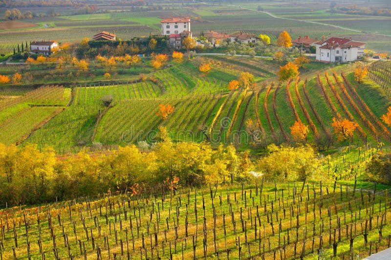 Collio Wine Region, Friuli Venezia Giulia, Italy Stock Photo - Image of ...