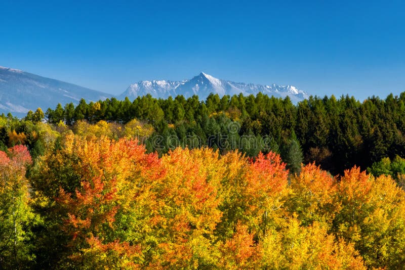 Podzimní krajina s barevnými stromy a vrcholem Kriváně z Vysokých Tater na Slovensku
