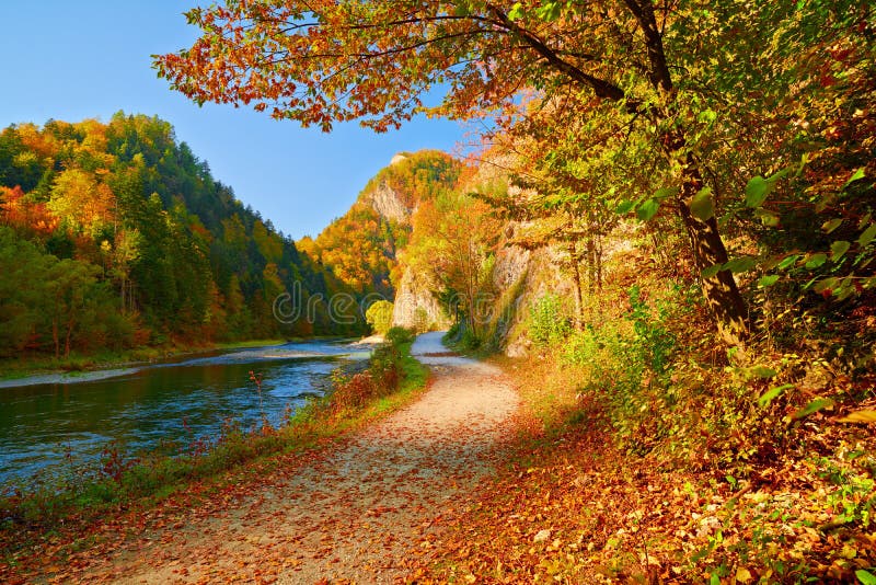 Autumn landscape Dunajec River Gorge Mountains Trees