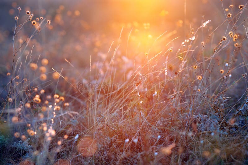 Autumn landscape in the early morning in the sunlight