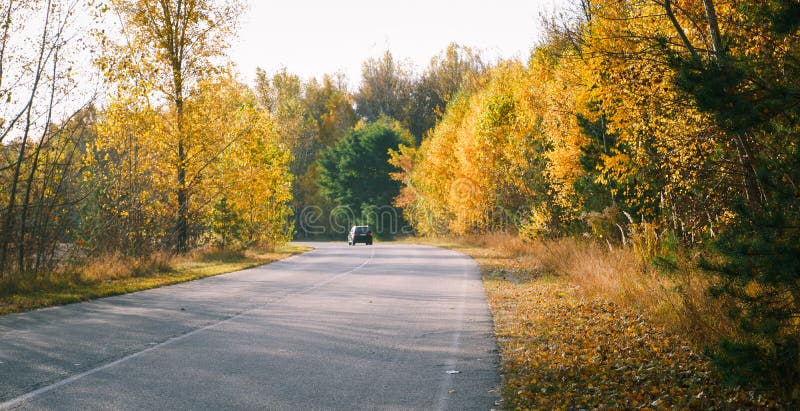 Autumn Landscape Empty Asphalt Road Passing Through The Autumn Forest