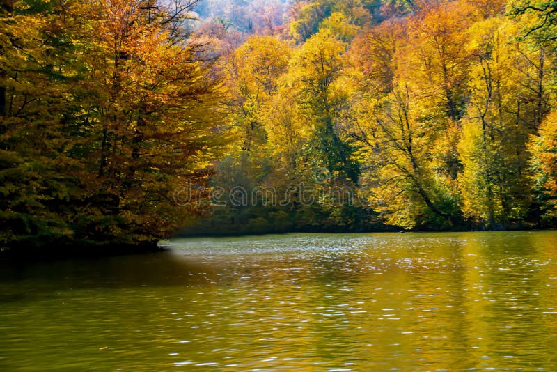 Autumn Landscape with Forests and Lake. Dense Colorful Autumn Forest and Mountain Lake. Welcome To Autumn Stock Image - Image of dense, blue: 232567063