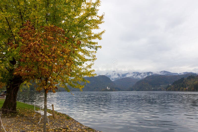 Autumn Landscape Lago sangrado em novembro fotos de stock Autumn Landscape Lago sangrado em novembro fotos de stock