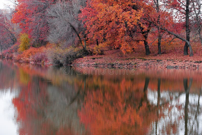 Autumn landscape