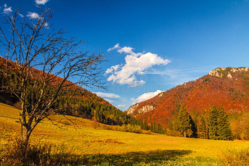 Autumn landscape in The Mala Fatra national park, Slovakia