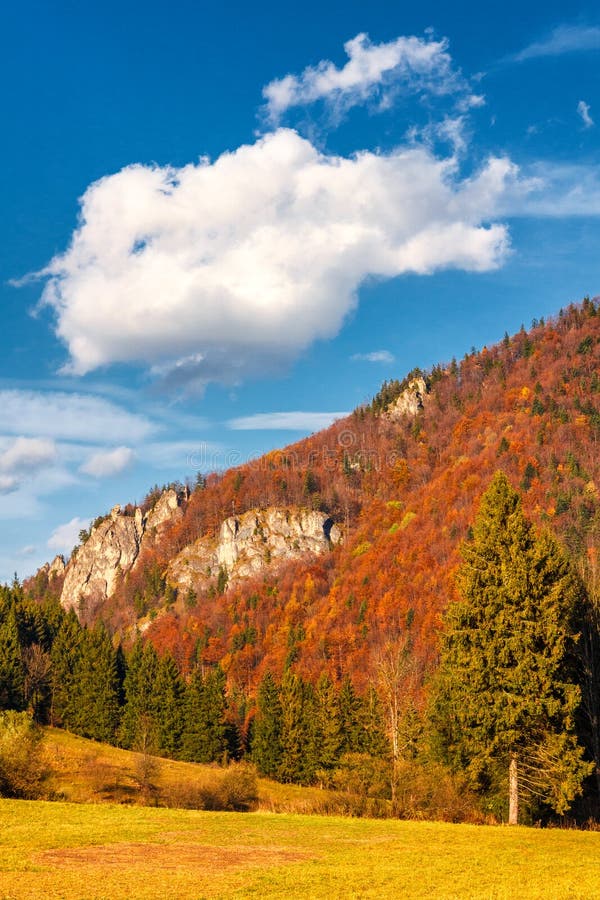 Autumn landscape in The Mala Fatra national park, Slovakia